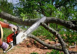 Best Lot and Land Clearing  in USA